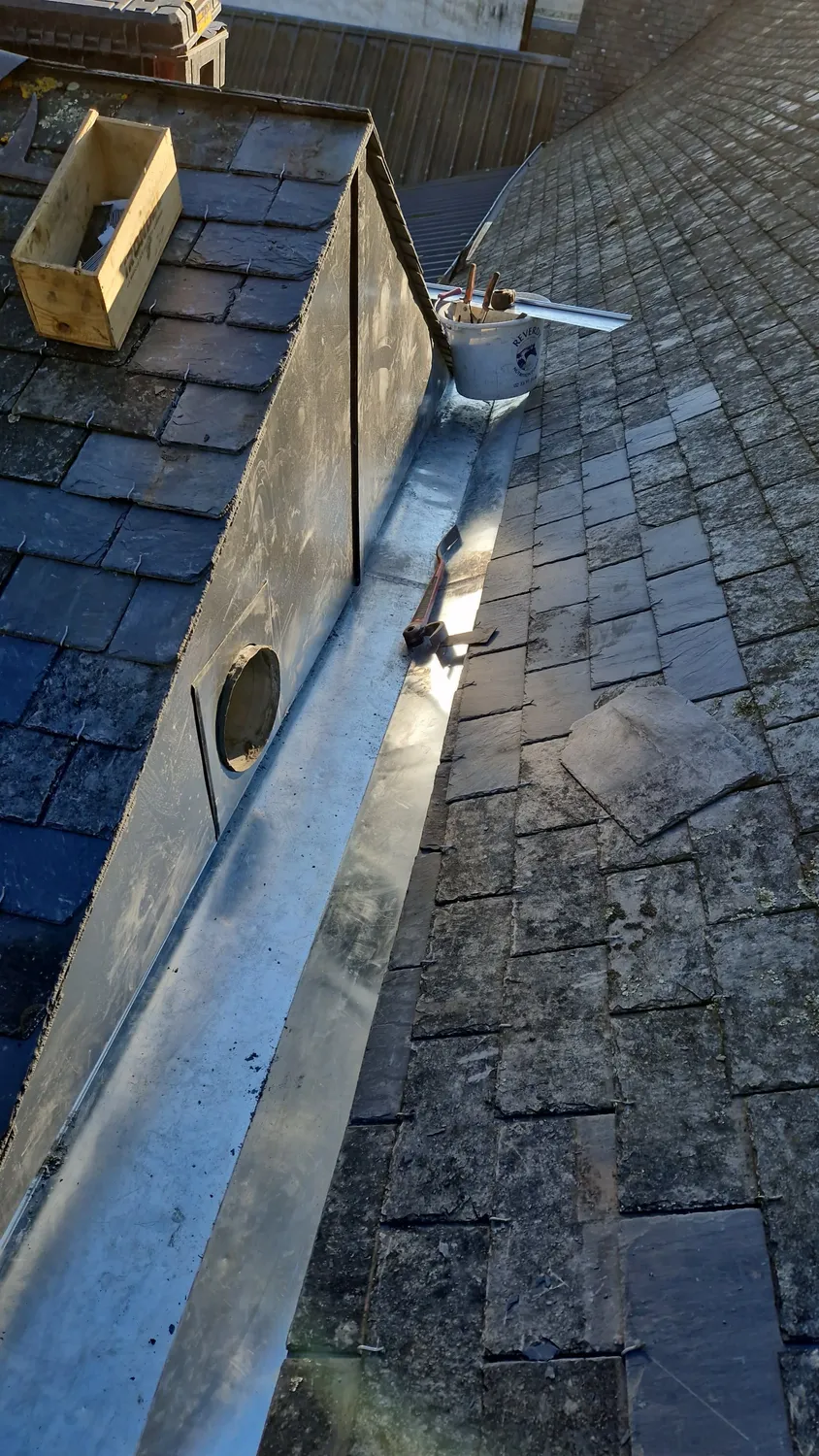 demoussage de toiture andouille