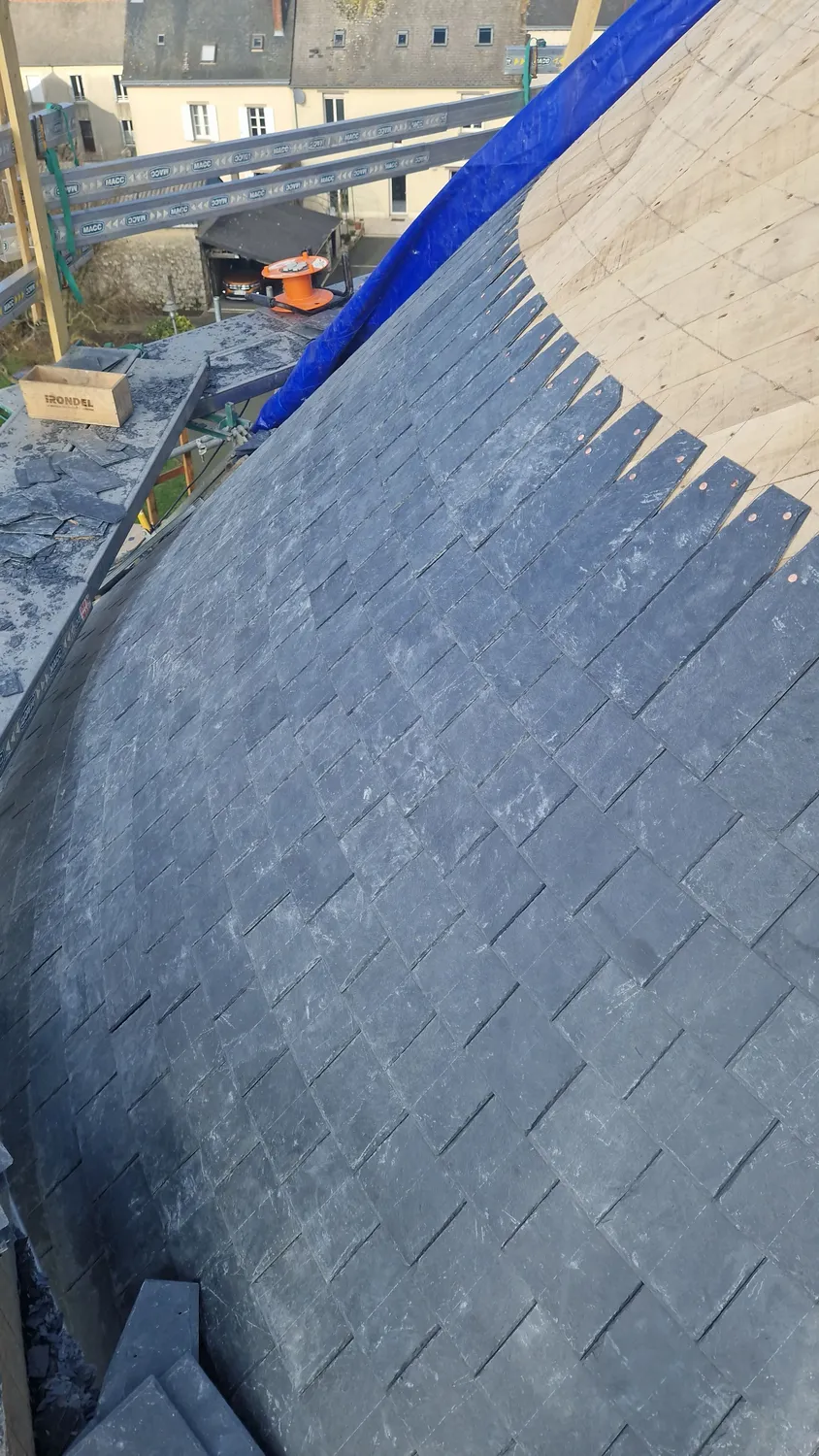 demoussage de toiture andouille