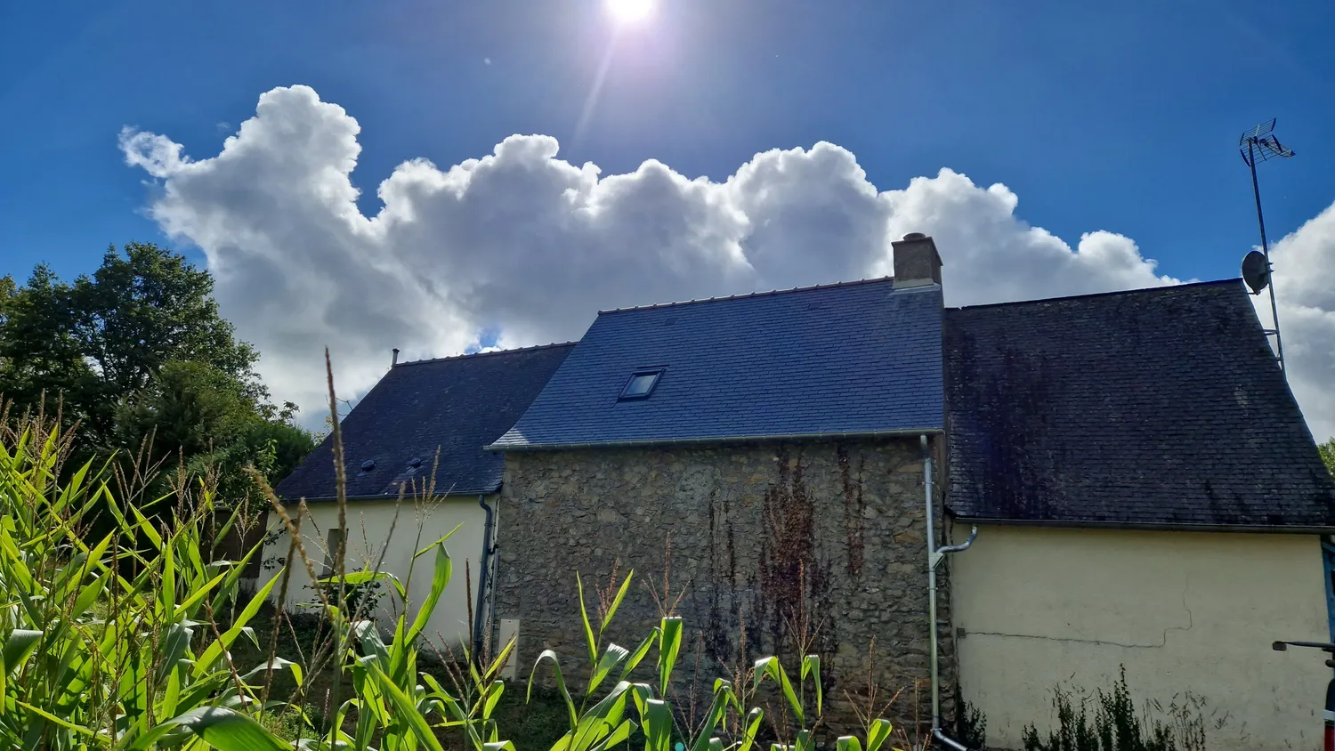 extension ossature bois saint pierre la cour